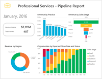 professional services